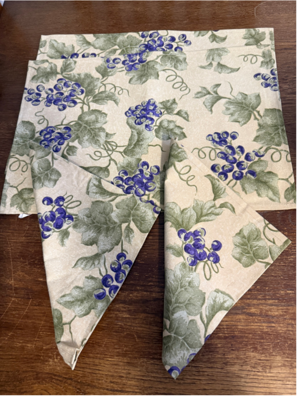 Cost Plus World Market Grapevine Placemats & Napkins Set 2 Placemats 2 Napkins 1